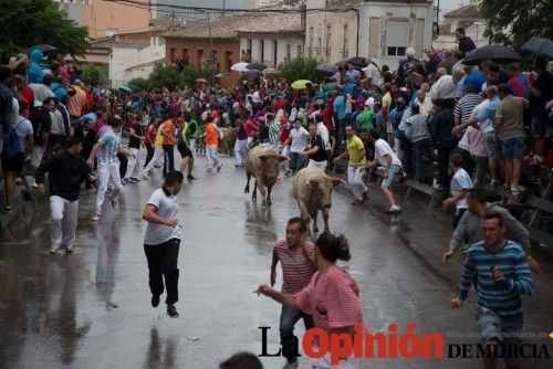 Cuarto encierro Feria del Arroz 2015, Calasparra