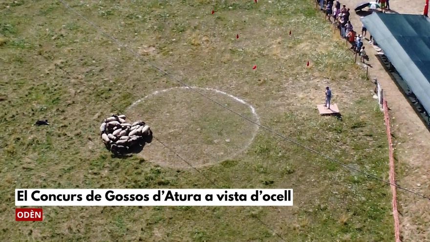 Un somrient Pere Miró rep l'aplaudiment dels assistents a l'acte després de ser designat Fill Predilecte de Manresa