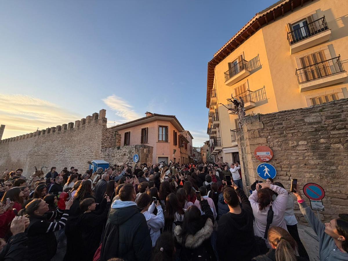 Sant Antoni en Alcúdia.