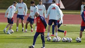 La selección española de fútbol se prepara para enfrentarse mañana a Dinamarca