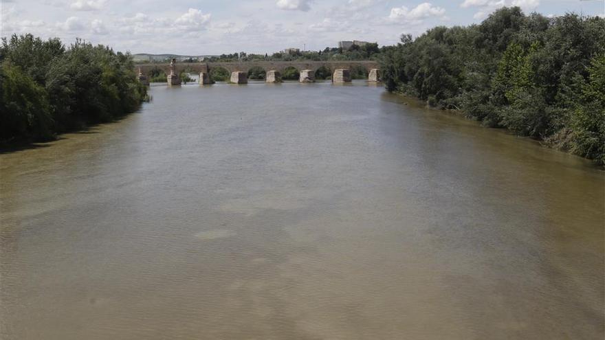 Algas de origen natural se extienden en el Guadalquivir a su paso por Córdoba