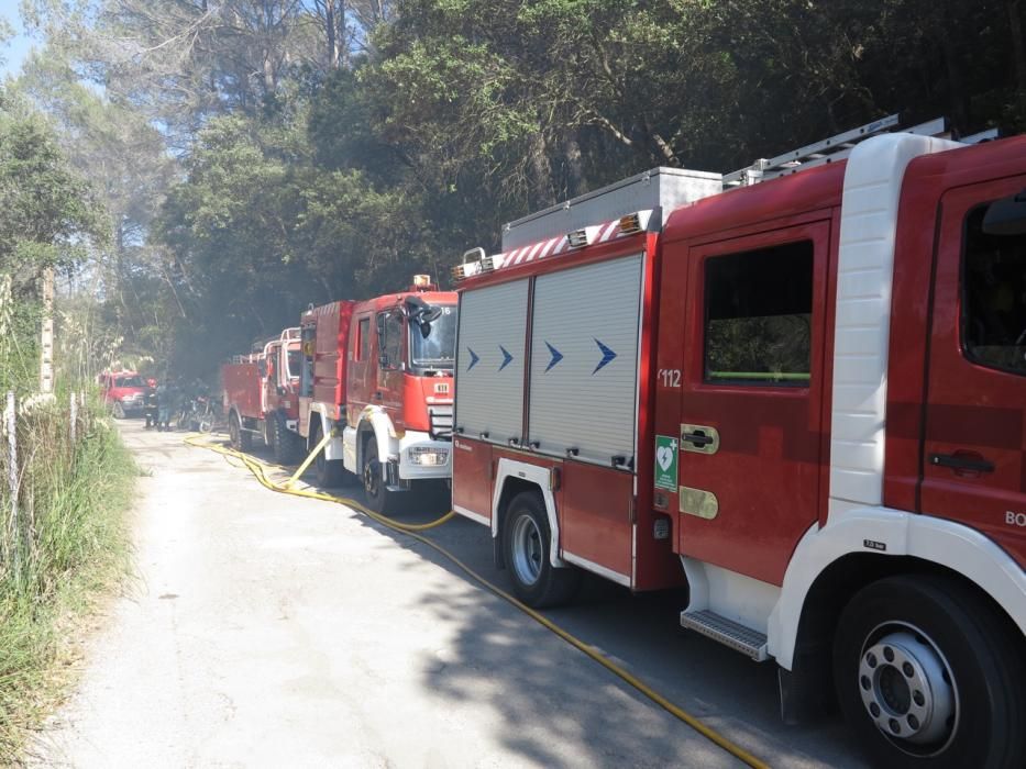 Waldbrand bei Puigpunyent