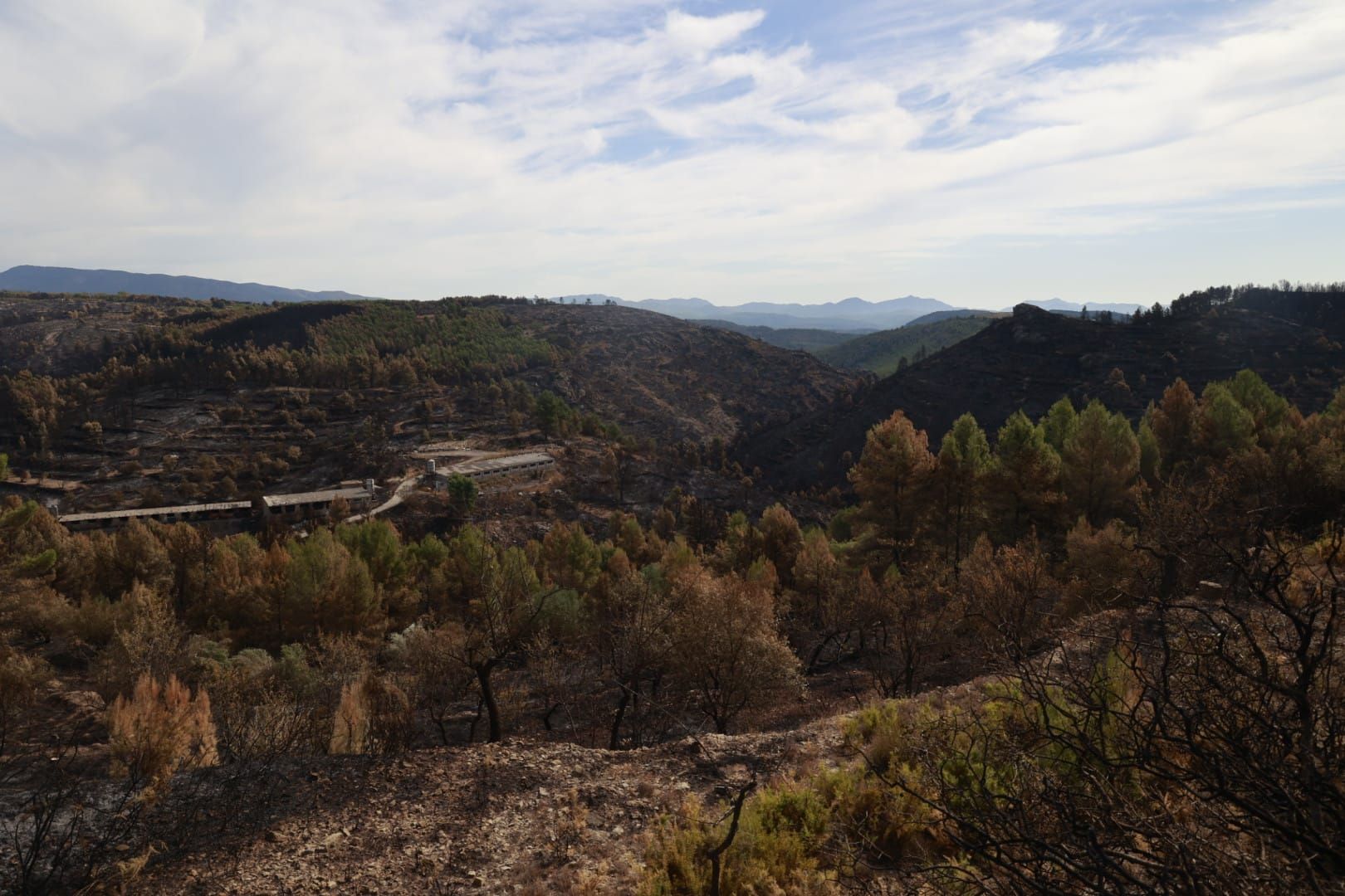 Las consecuencias del incendio de Bejís en Teresa