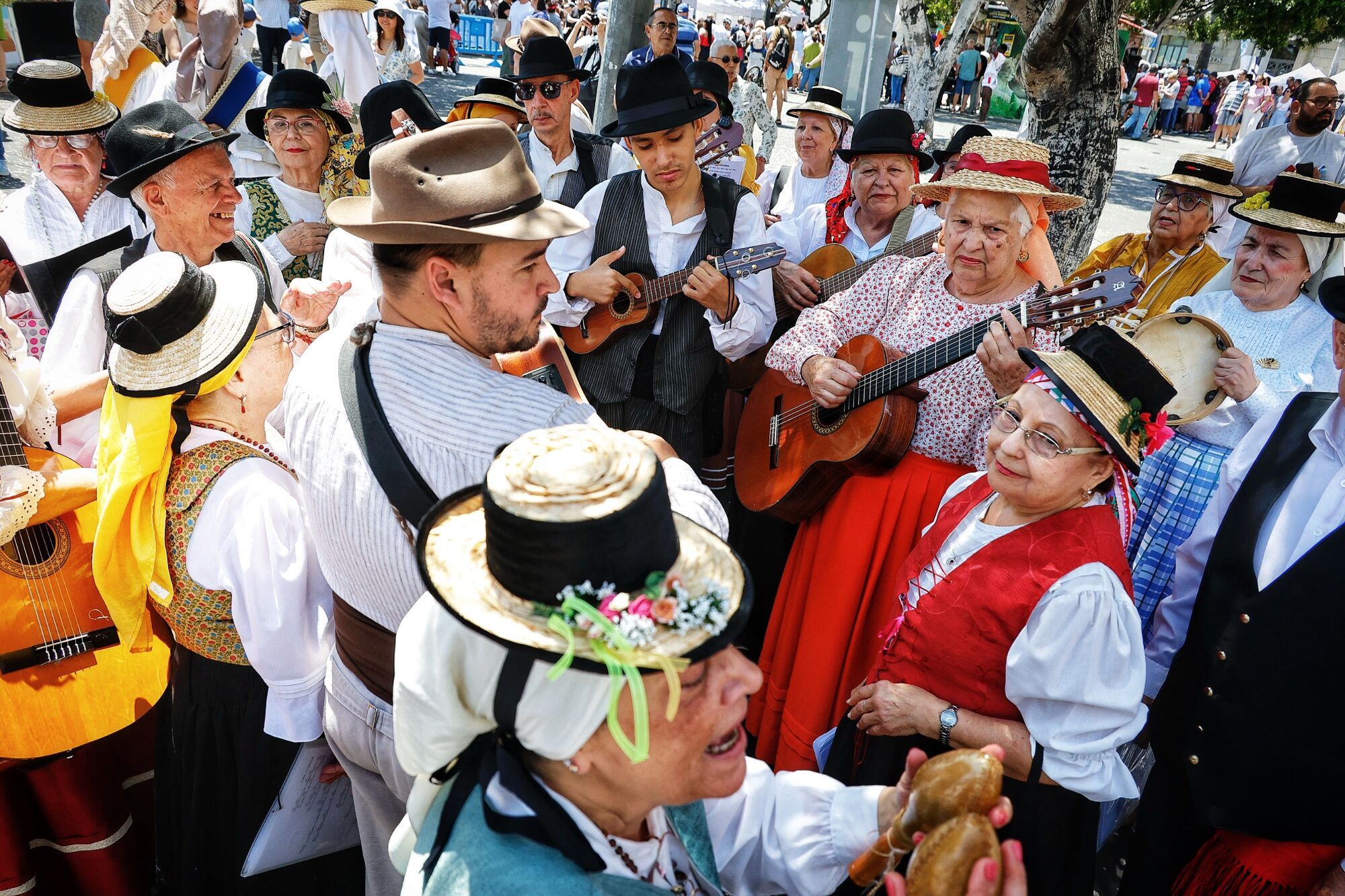 Actividades por el Día de Canarias en Santa Cruz