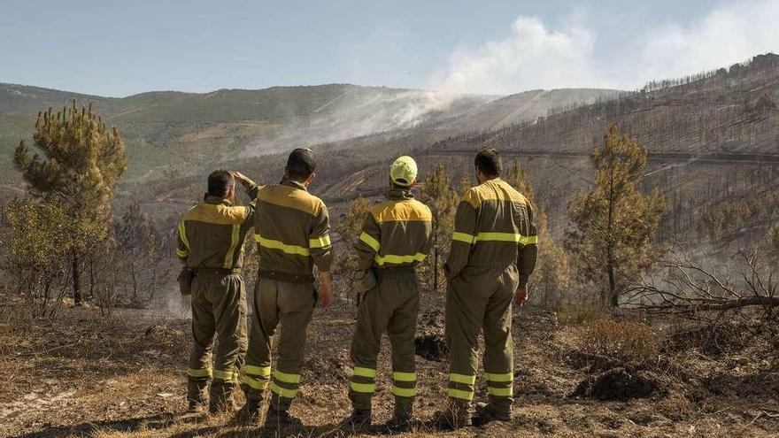 Brigadistas observan los devastadores efectos del incendio en Vilardevós.