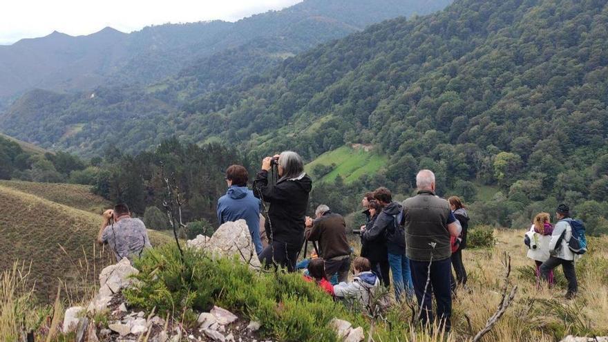 Visitantes observando venados en una pasada edición de la iniciativa. | Jairo Palacios