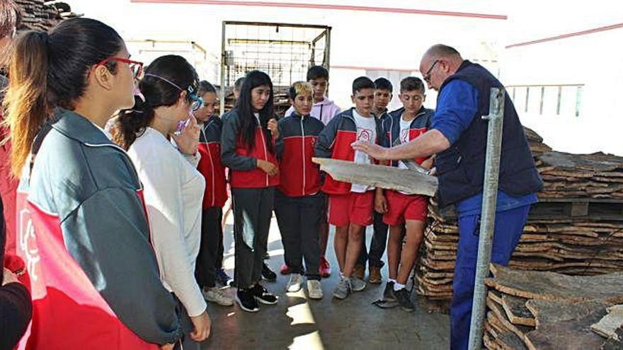 El programa anual de la FOEG per acostar l&#039;empresa a les escoles arriba a 2.700 alumnes