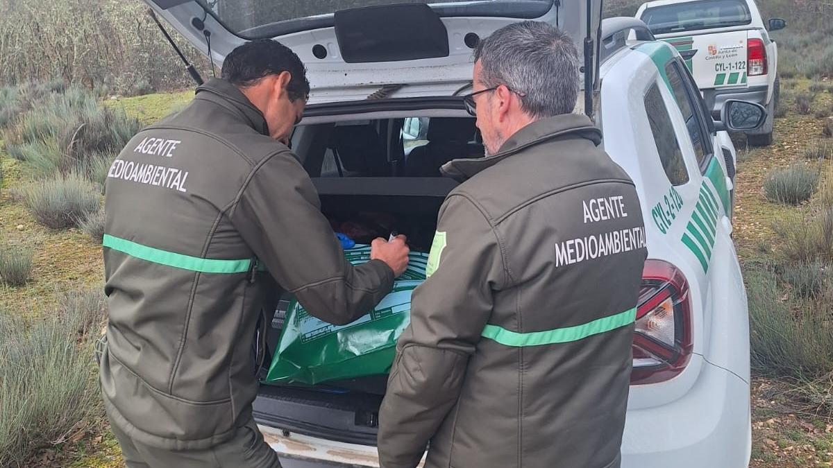 Agentes medioambientales recogen muesytras de aves muertas en el término de Asturianos