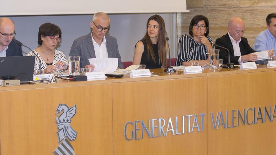 Consejo de Universidades celebrado esta mañana en Alicante.