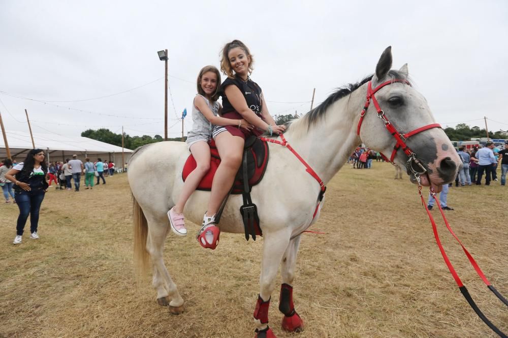 Espectáculo equestre en las fiestas de Premoño (Las Regueras)