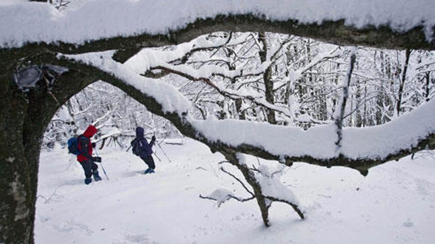 Las últimas nevadas han dejado más de dos metros de espesor en algunas pistas.