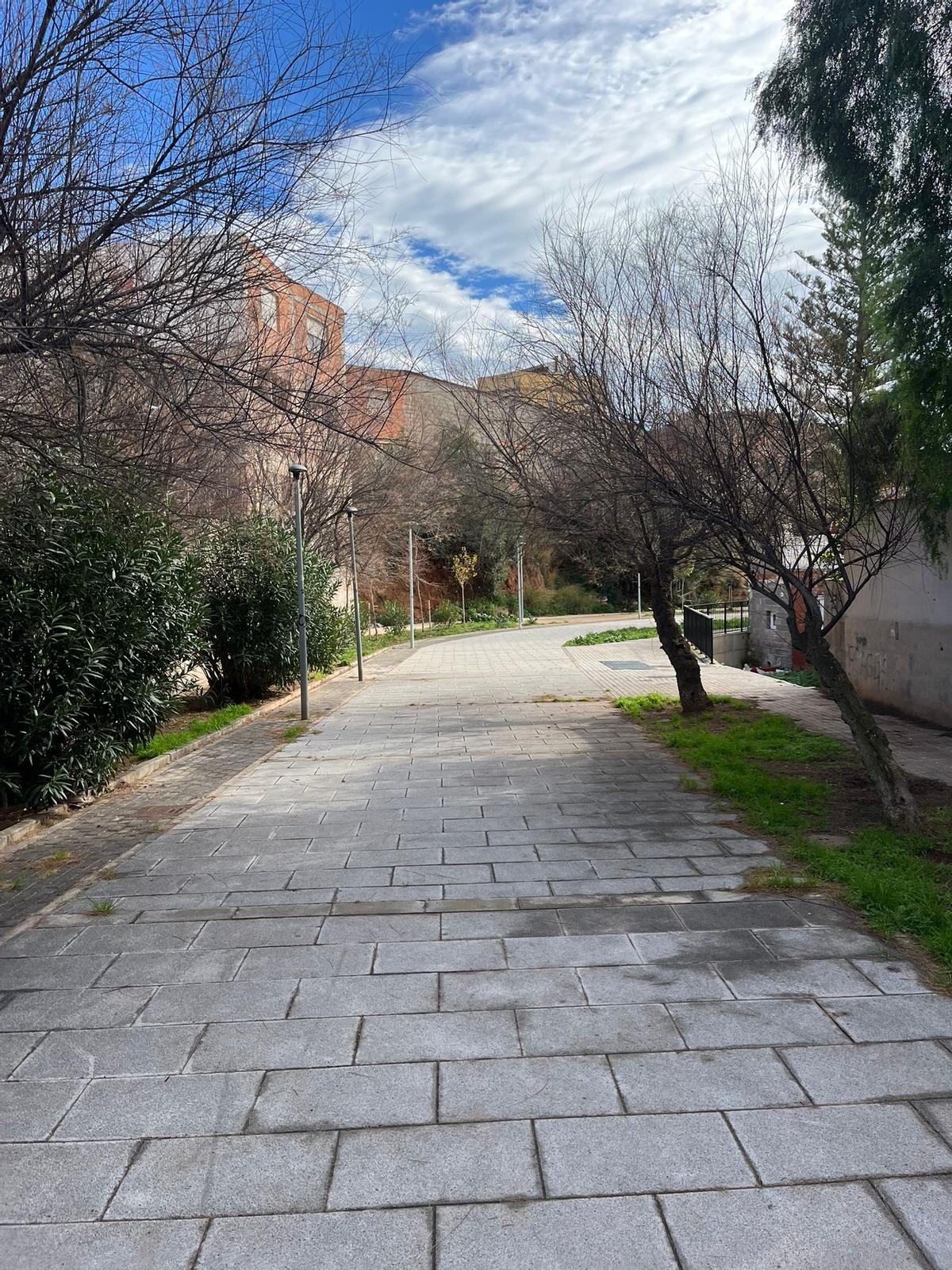 Foto de cómo luce el paseo actualmente.