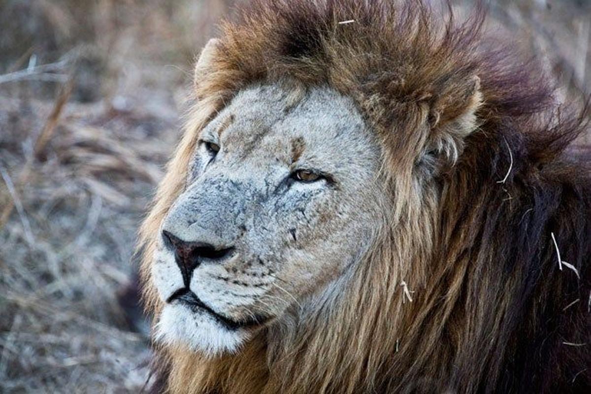 Real parque nacional de Hlane