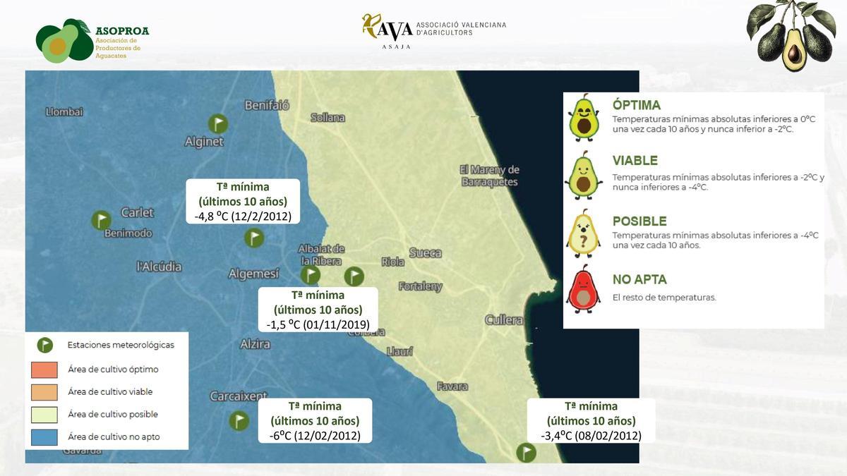 Mapa para la implantación del aguacate en la comarca de la Ribera.