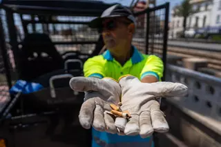 El tabaco persiste en las playas del área de Barcelona pese al veto: "Controlarlo es un caos"
