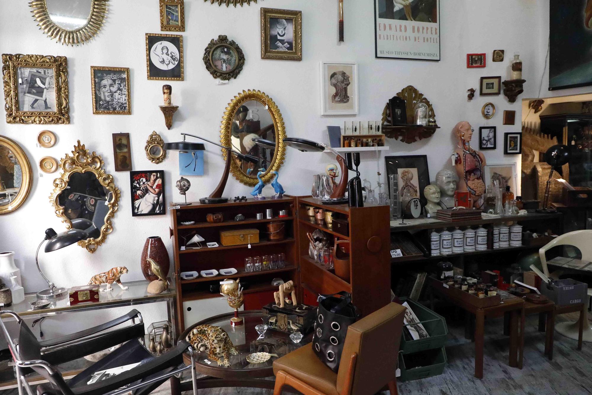 Pannonica un museo vintage