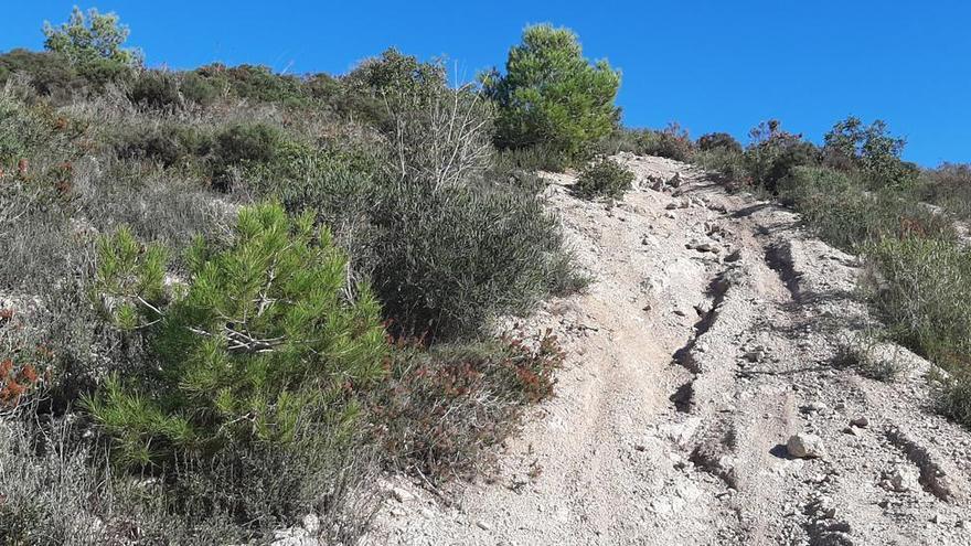 Motocross-Pisten im Osten von Mallorca führen direkt durch Naturschutzgebiet