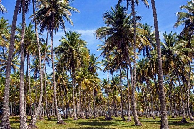 Bahía de Boipeba