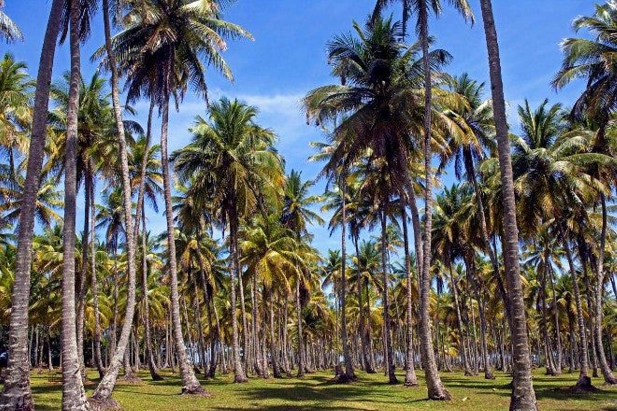 Bahía de Boipeba