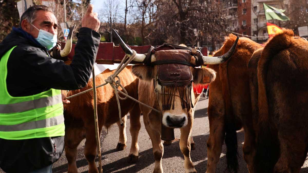 El mundo rural se manifiesta en Madrid por las amenazas continuas que sufre el sector.