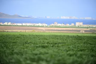 La CHS cortará el agua en agosto a los regantes de Cartagena que no cumplan con la protección del acuífero