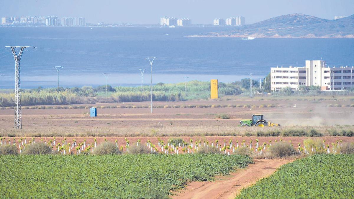 El programa de actuación para evitar la contaminación por nitratos en el Campo de Cartagena endurece los controles, según las organizaciones agrarias.