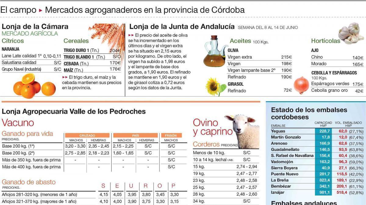 Balance desfavorable en los precios de los cítricos