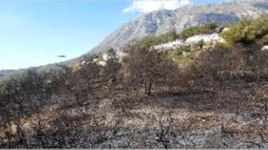 El terreno del Montgó arrasado por las llamas.