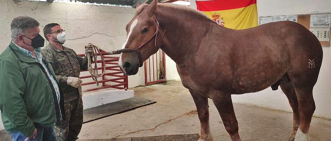 El concejal Gerardo Pérez y el brigada Nicolás García, con el caballo “Requejo”, en la parada de Pola de Laviana.