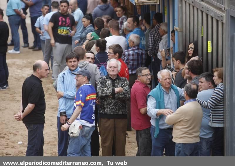 Bou per la vila en Vila-real