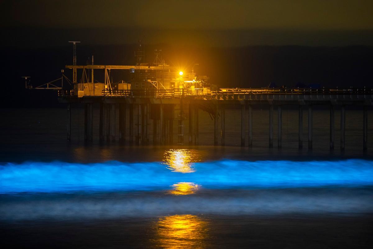 Olas bioluminiscentes en la Jolla Shores, San Diego