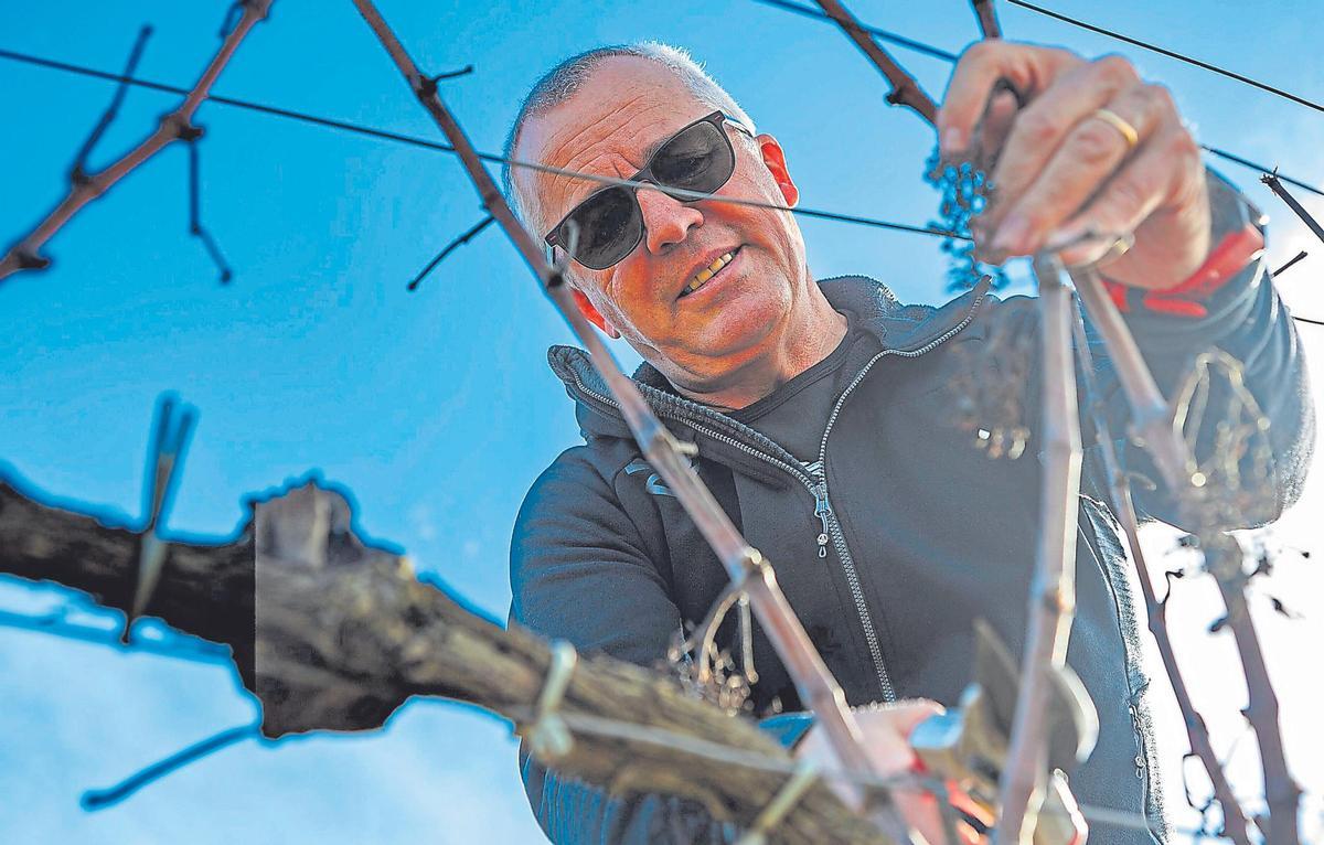 JOSEP SOLERGIBERT SERRa