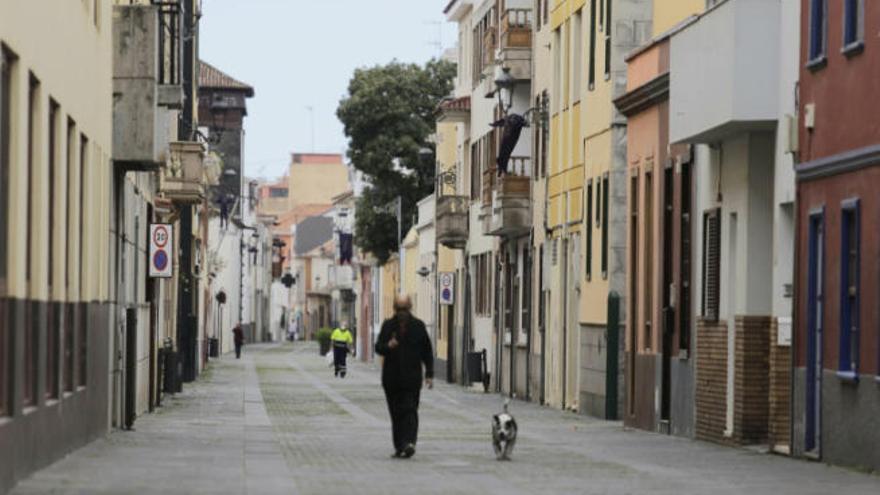 Un hombre pasea a su perro por las calles de La Laguna.