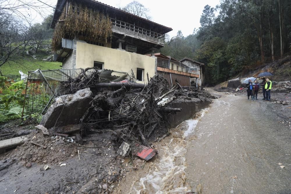 Temporal en Asturias: Un argayo sepulta una ganadería en Salas