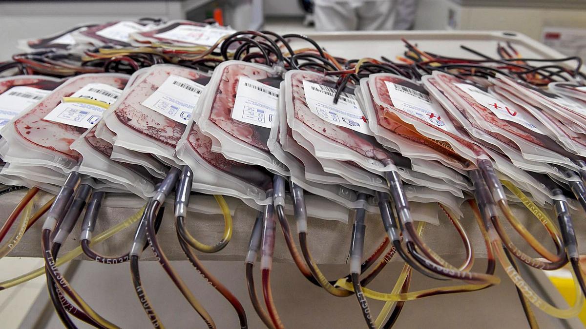 Bolsas de extracciones de sangre separadas por grupos en el laboratorio del ICHH de la capital grancanaria.