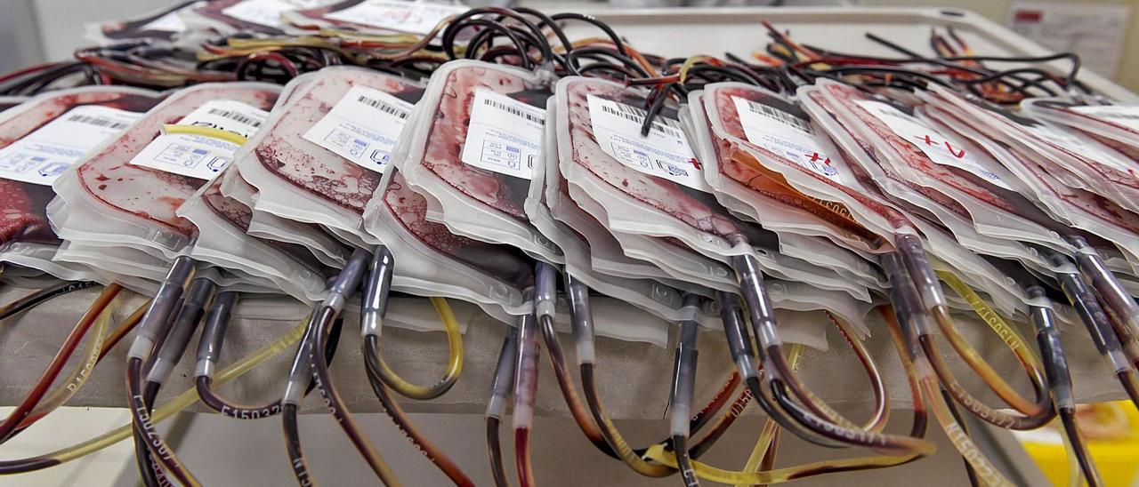 Bolsas de extracciones de sangre separadas por grupos en el laboratorio del ICHH de la capital grancanaria. | | JUAN CASTRO