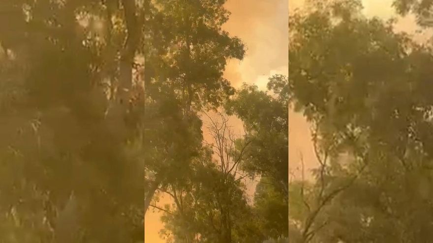 Vídeo | Imágenes del incendio del pantano de Valdesalor