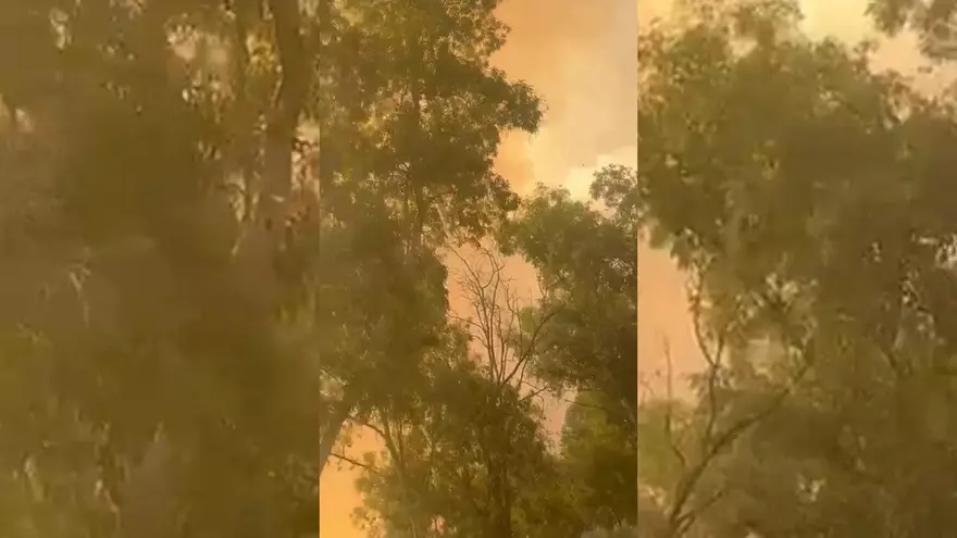 Vídeo | Imágenes del incendio del pantano de Valdesalor