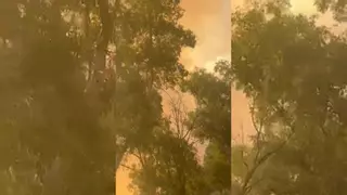 Vídeo | Imágenes del incendio del pantano de Valdesalor