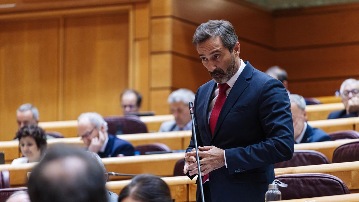 El Senado decidirá esta semana si autoriza al TS a juzgar al senador de CC Pedro Manuel Sanginés por falso testimonio