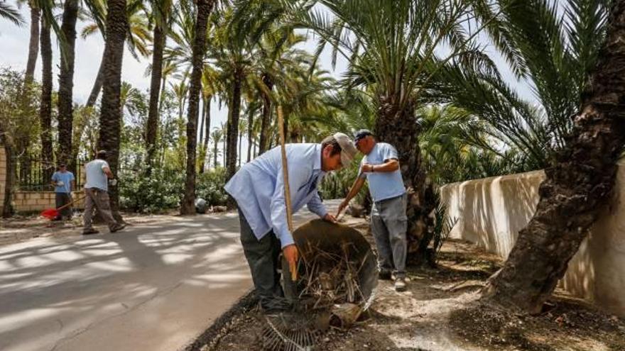 Parques y Jardines ha perdido un tercio de su plantilla en 6 años