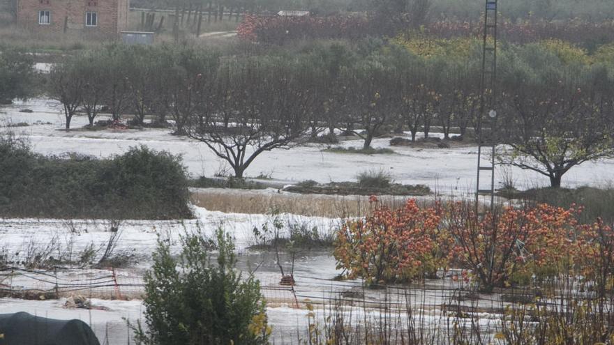 El temporal alivia los acuíferos y  los cultivos de secano pero merma la cosecha de cítricos