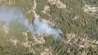 Un incendio forestal obliga a movilizar medios aéreos en el pantano de Guadalest