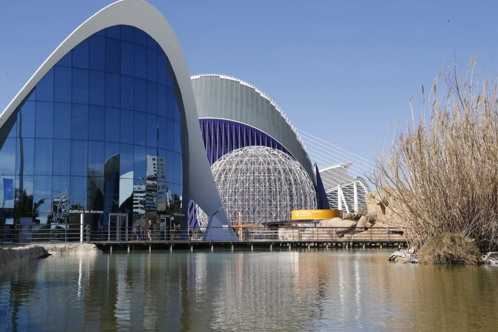 Inauguración del nuevo Oceanogràfic