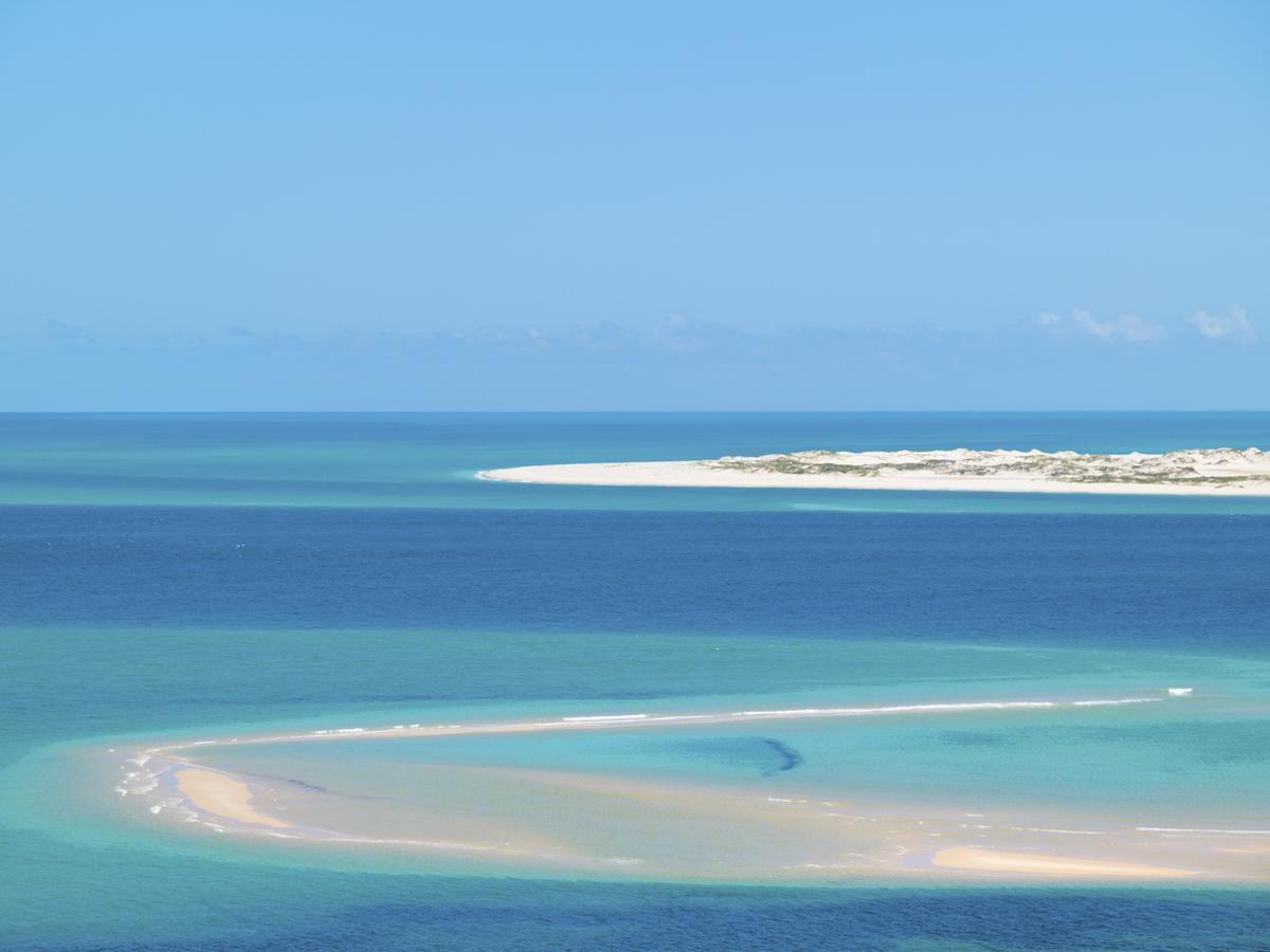 El Archipiélago de Bazaruto en Mozambique destaca por ofrecer un safari marino y terrestre único en el Océano Índico. Protegido como parque nacional, sus aguas albergan la mayor población de dugongos de África, además de delfines, tortugas marinas, ballenas jorobadas y tiburones ballena.