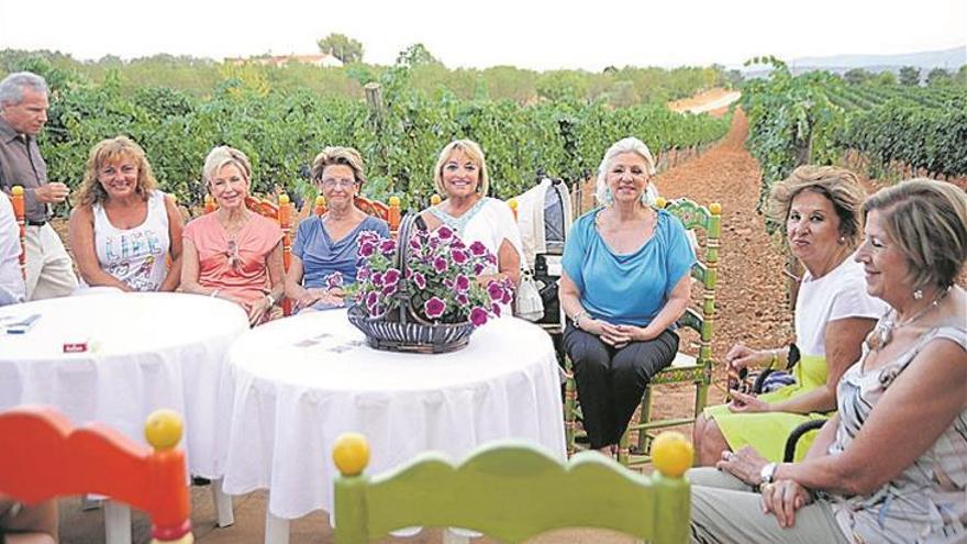 Concierto entre los viñedos en Bodegas Barón d’Alba