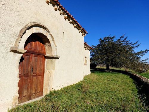 Siglos de historia en el paisaje: así son los tejos más destacados de Llanera