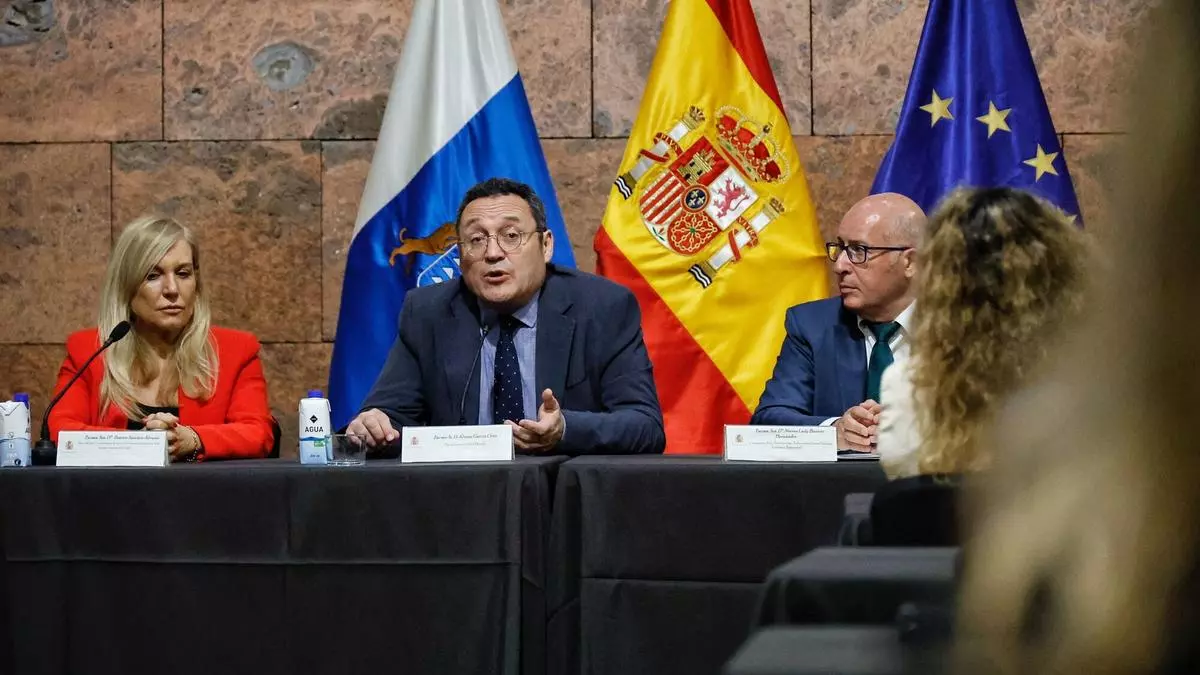 El Fiscal General del Estado asume la tesis canaria de dar una "respuesta unitaria nacional" al drama migratorio