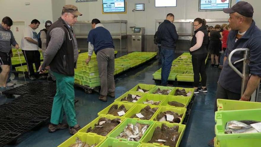 Interior de la lonja de O Grove momentos antes de una subasta de pescado. // Miguel Muñiz