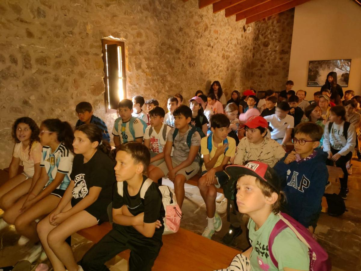 FOTOS | Los escolares se adentran en Ses Fonts Ufanes de la mano de Gadma y Cemex